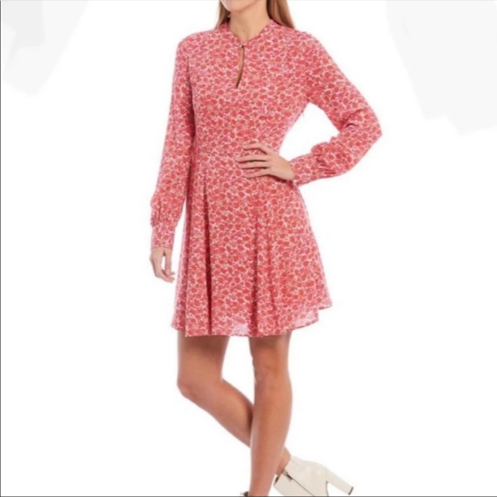 A Cherry Print Pink Floral Dress